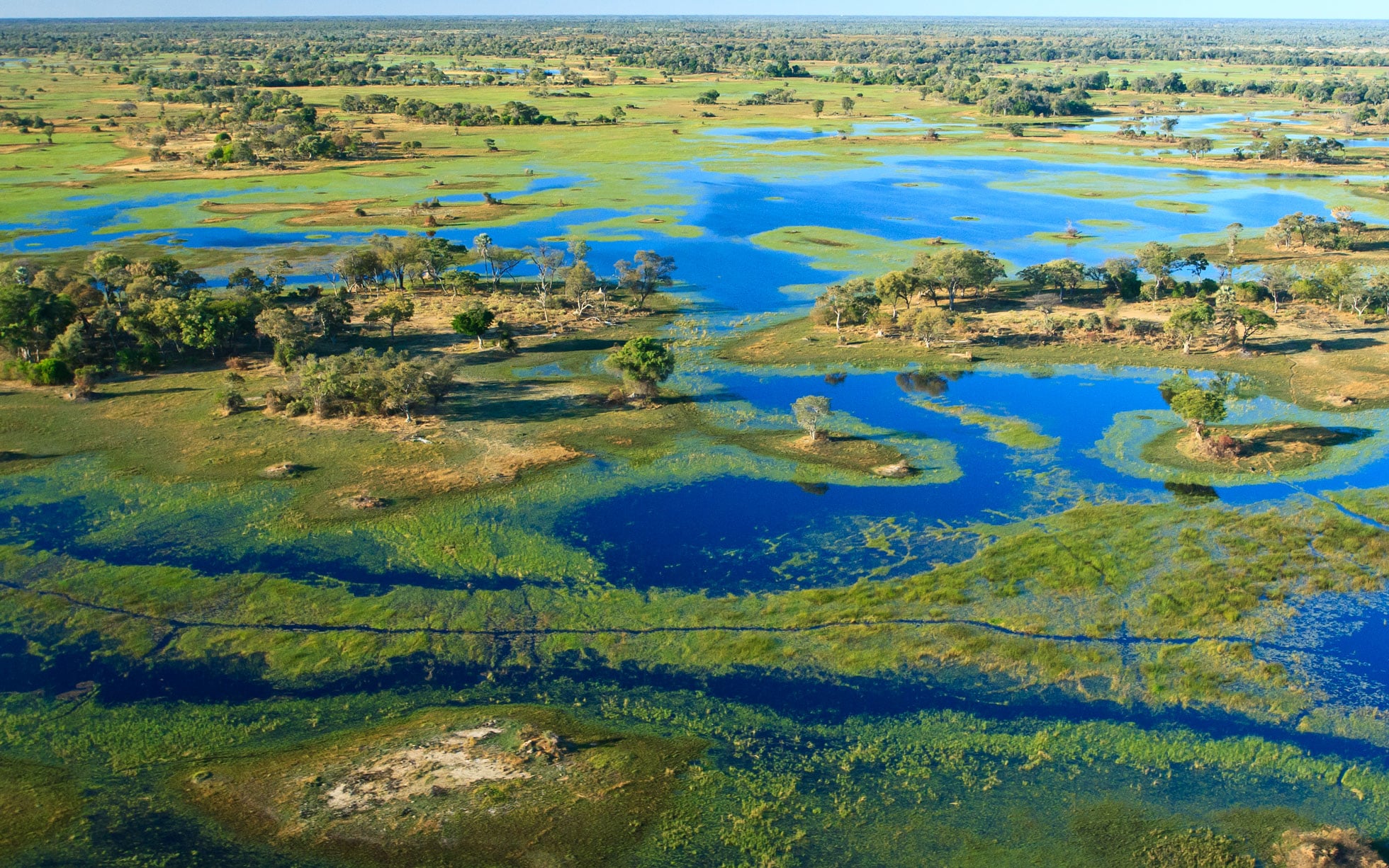 Kayaking on the Okavango