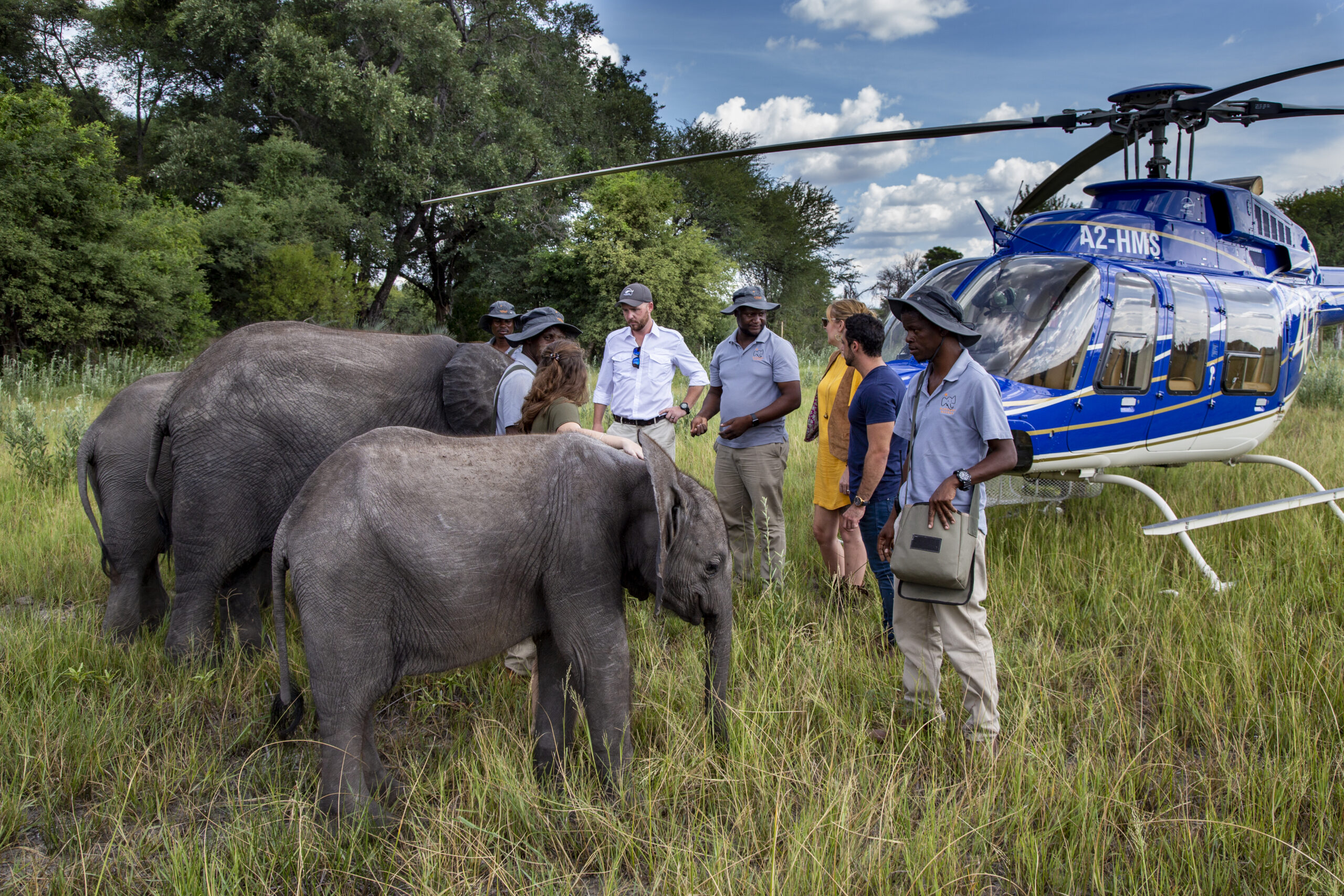 Elephant Heaven Roots & Journeys