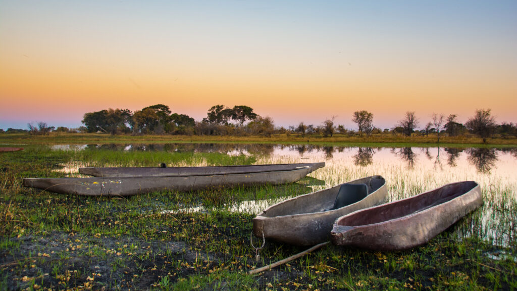 Mocorros of the Okavango Delta