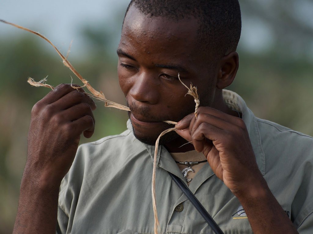 Research Talks by The Wild Bird Trust