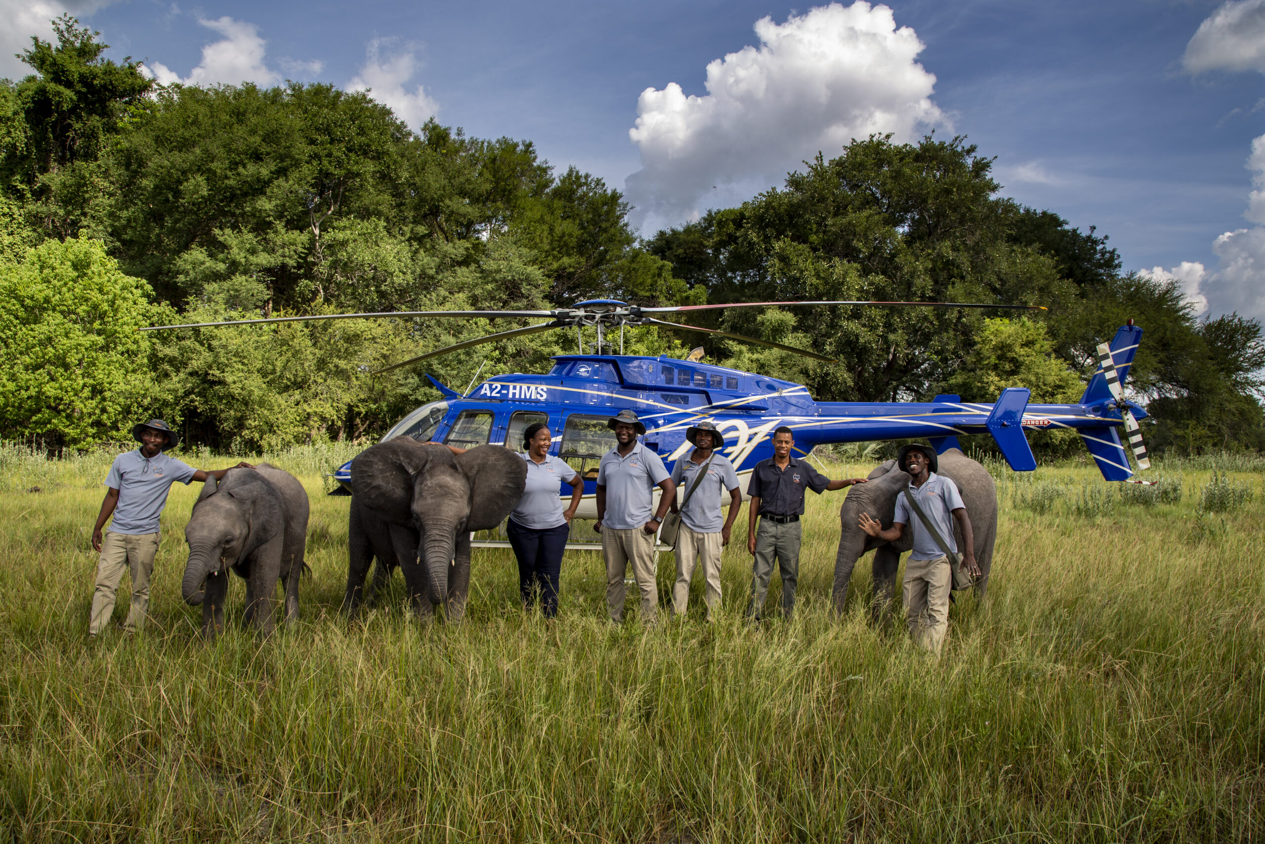 Elephant Heaven Experience