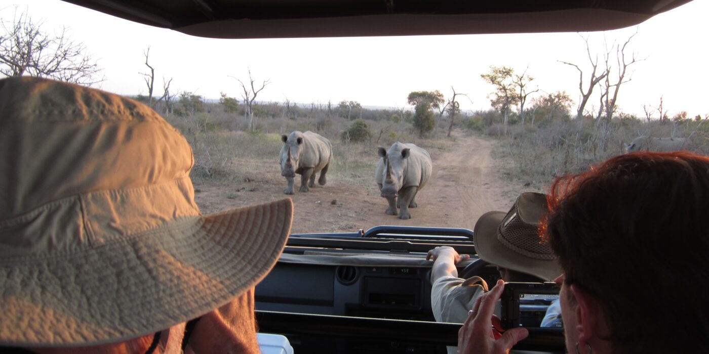 Rhino on the road