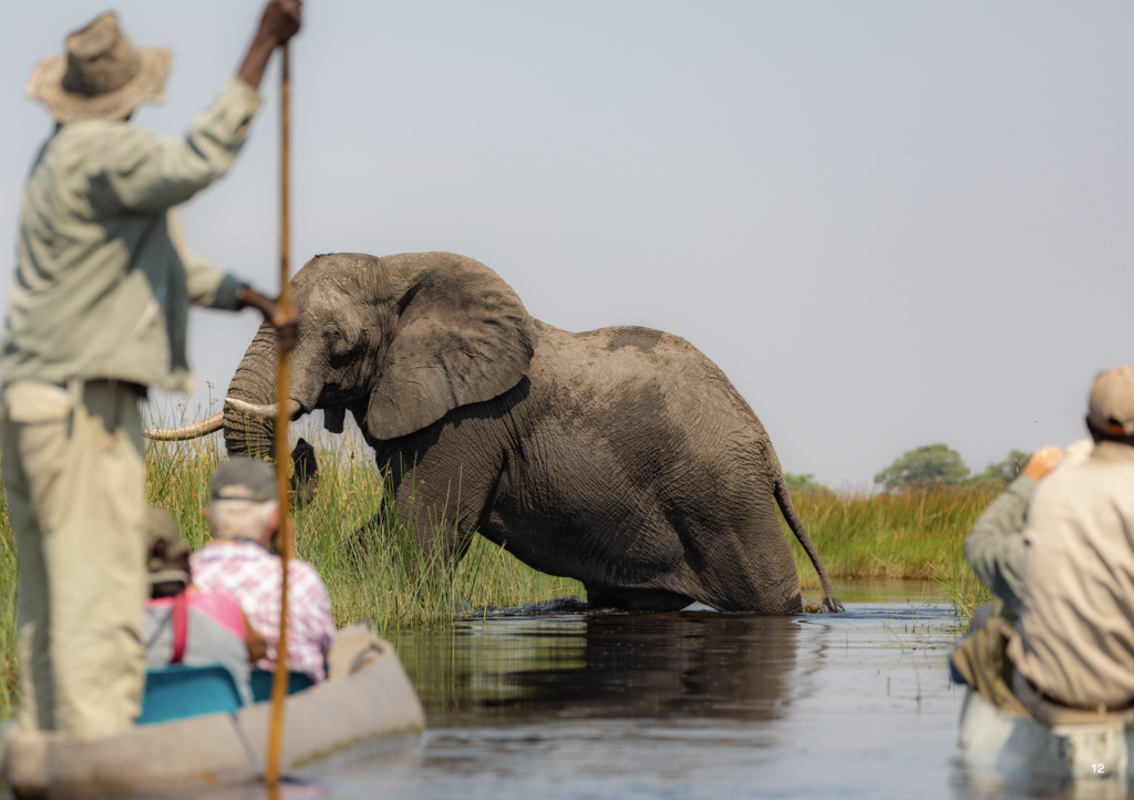 Okavango Delta